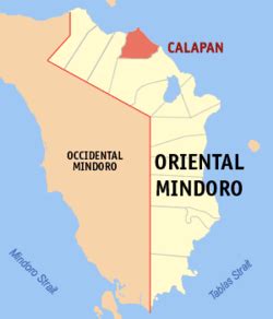 dfa calapan oriental mindoro|Google Maps.